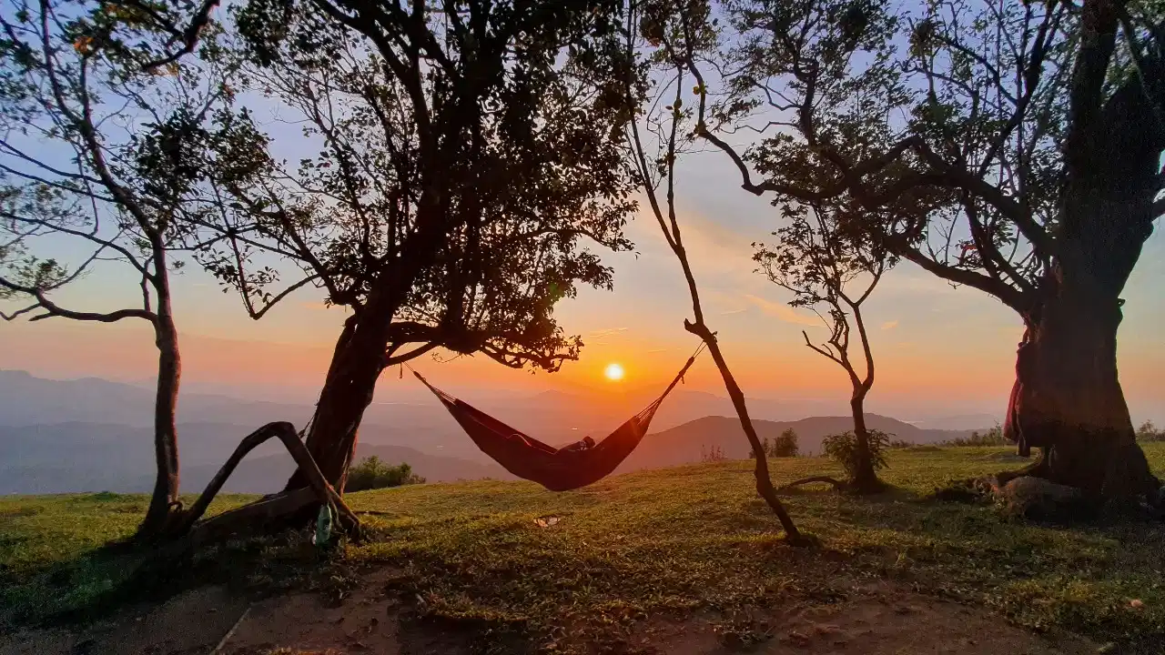 Nature & Adventure